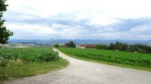 Blick auf die Wanderstrecke wieder zum Weiler Kleinweichselbach