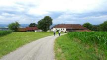 Blick auf die Wanderstrecke wieder zum Weiler Kleinweichselbach