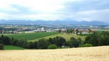  sch�ner Fernblick nach St. Leonhard am Forst 