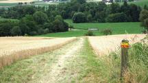 Blick auf die Wanderstrecke 
