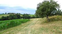  Blick auf die Wanderstrecke 
