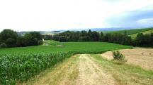  Blick auf die Wanderstrecke 