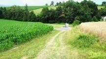  Blick auf die Wanderstrecke 