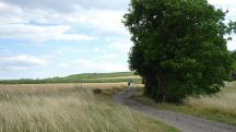  Blick auf die Wanderstrecke 