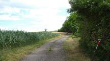  Blick auf die Wanderstrecke 