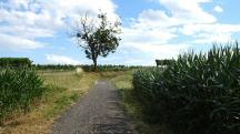  Blick auf die Wanderstrecke 