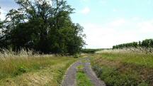  Blick auf die Wanderstrecke 