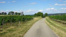  Blick auf die Wanderstrecke 