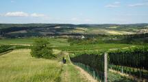  Fernblick nach Glaubendorf 