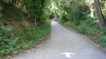  Blick auf die Wanderstrecke im Polstergraben 