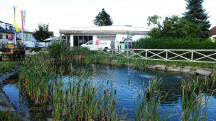  Blick �ber das Biotop zum Dorfhaus 