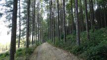  Blick auf die Wanderstrecke 