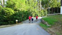 Blick auf die Wanderstrecke beim Geh�ft Wei�enlehen