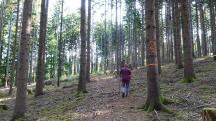  Blick auf die Wanderstrecke 