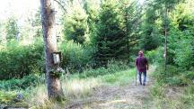  Blick auf die Wanderstrecke 