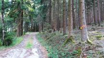  Blick auf die Wanderstrecke 