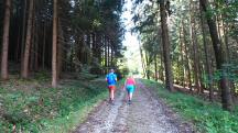  Blick auf die Wanderstrecke 