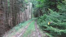  Blick auf die Wanderstrecke 