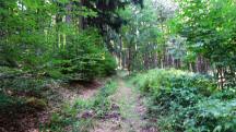  Blick auf die Wanderstrecke nach der Streckenteilung 