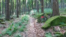 Blick auf die Wanderstrecke 