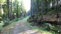  Blick auf die Wanderstrecke 