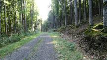  Blick auf die Wanderstrecke 