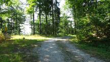  Blick auf die Wanderstrecke 