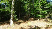  Blick auf die Wanderstrecke 