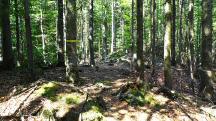  Blick auf die Wanderstrecke 