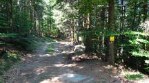  Blick auf die Wanderstrecke 