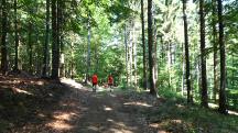  Blick auf die Wanderstrecke 