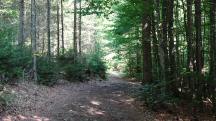  Blick auf die Wanderstrecke 