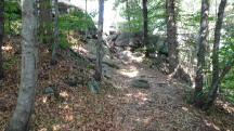  Blick auf die Wanderroute zum "Kleinen Peilstein" 