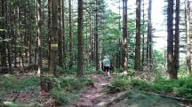  Blick auf die Wanderstrecke zum Gro�en Peilstein 