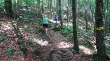  Blick auf die Wanderstrecke zum Gro�en Peilstein 