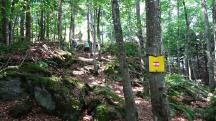  Blick auf die Wanderstrecke zum Gro�en Peilstein 