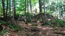  Blick auf die Wanderstrecke zum Gro�en Peilstein 