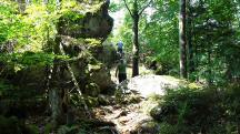  Blick auf die Wanderstrecke zum Gro�en Peilstein 