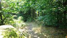 Blick auf die Wanderstrecke bergab vom Gro�en Peilstein
