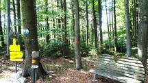  Blick auf die Wanderstrecke 