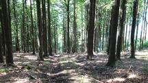  Blick auf die Wanderstrecke 