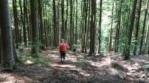  Blick auf die Wanderstrecke 