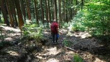  Blick auf die Wanderstrecke 