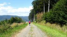  Blick auf die Wanderstrecke 