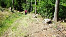  Blick auf die Wanderstrecke 