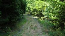  Blick auf die Wanderstrecke 