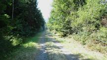  Blick auf die Wanderstrecke 