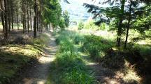  Blick auf die Wanderstrecke 