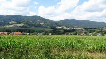  Fernblick nach Kammerbach 