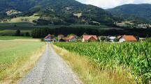  Blick auf die Wanderstrecke nach Kammerbach 